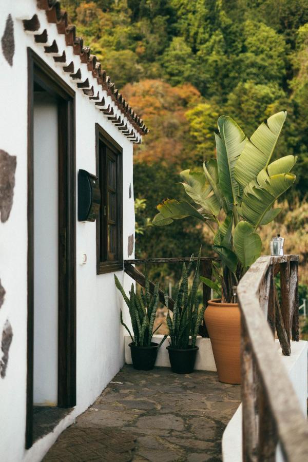 Las Casitas Del Bebedero - Yoga & Ecoturismo Icod De Los Vinos Dış mekan fotoğraf